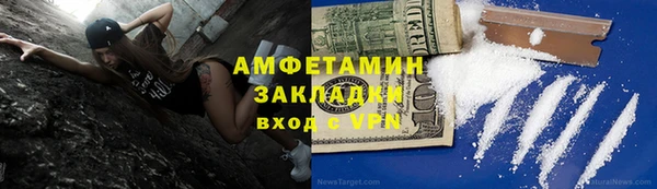 прущие грибы Вязьма