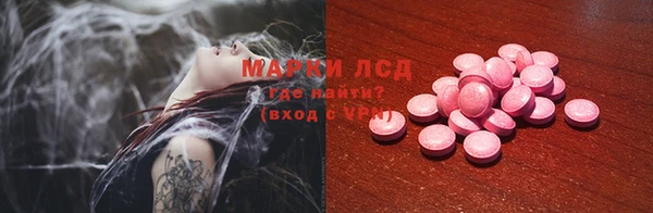 прущие грибы Вязьма