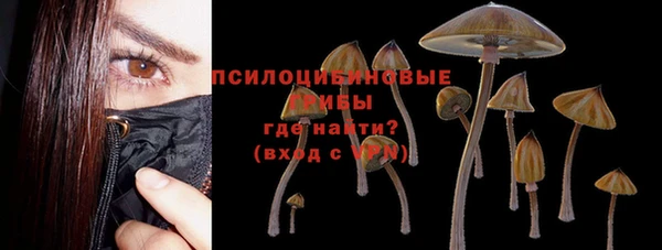 каннабис Горно-Алтайск