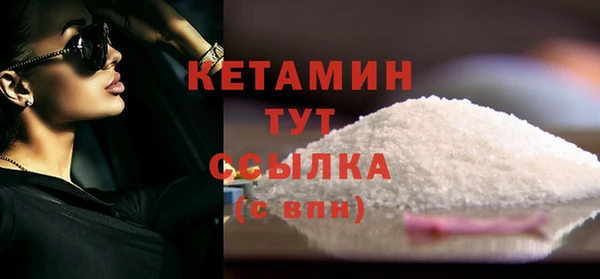 прущие грибы Вязьма