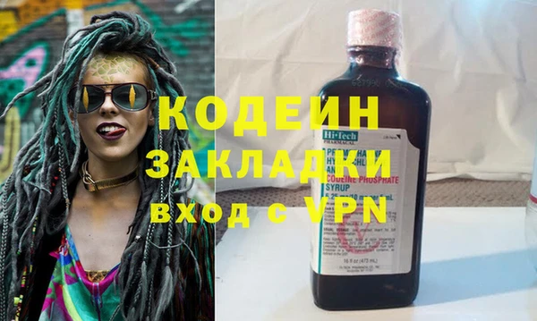 прущие грибы Вязьма