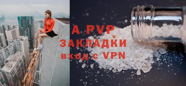прущие грибы Вязьма