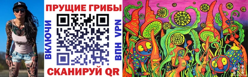 Галлюциногенные грибы GOLDEN TEACHER  как найти наркотики  МЕГА tor  Жуковский 